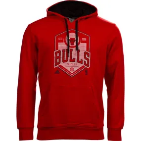 Adidas Sudadera Graphics Team Chicago Bulls (rojo/blanco/negro)