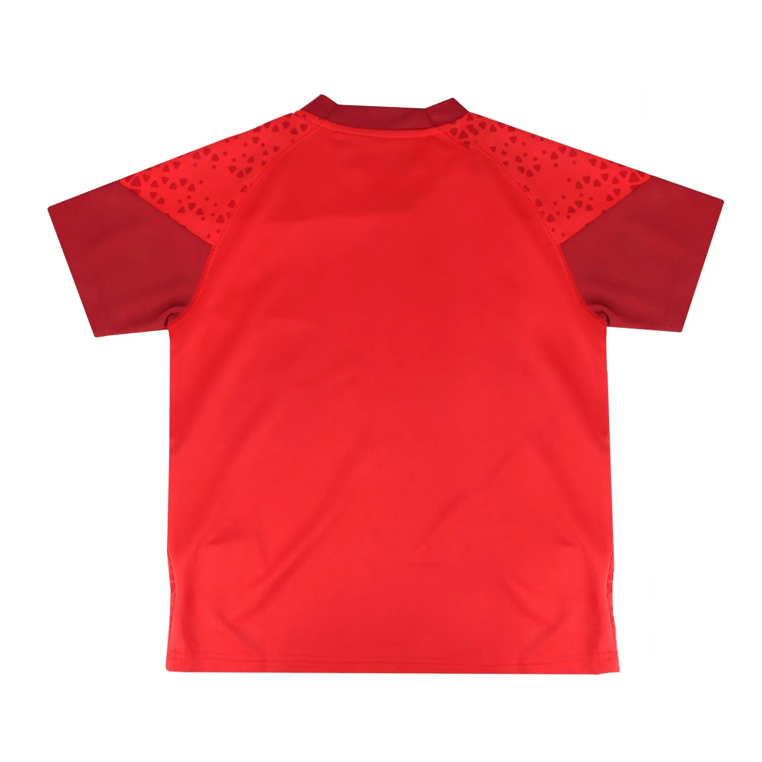 Camiseta Puma niño Girona entreno Team Cup